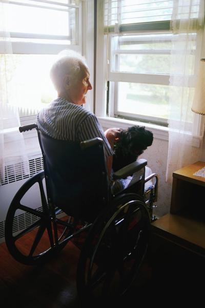 Older man in wheelchair with dog by window